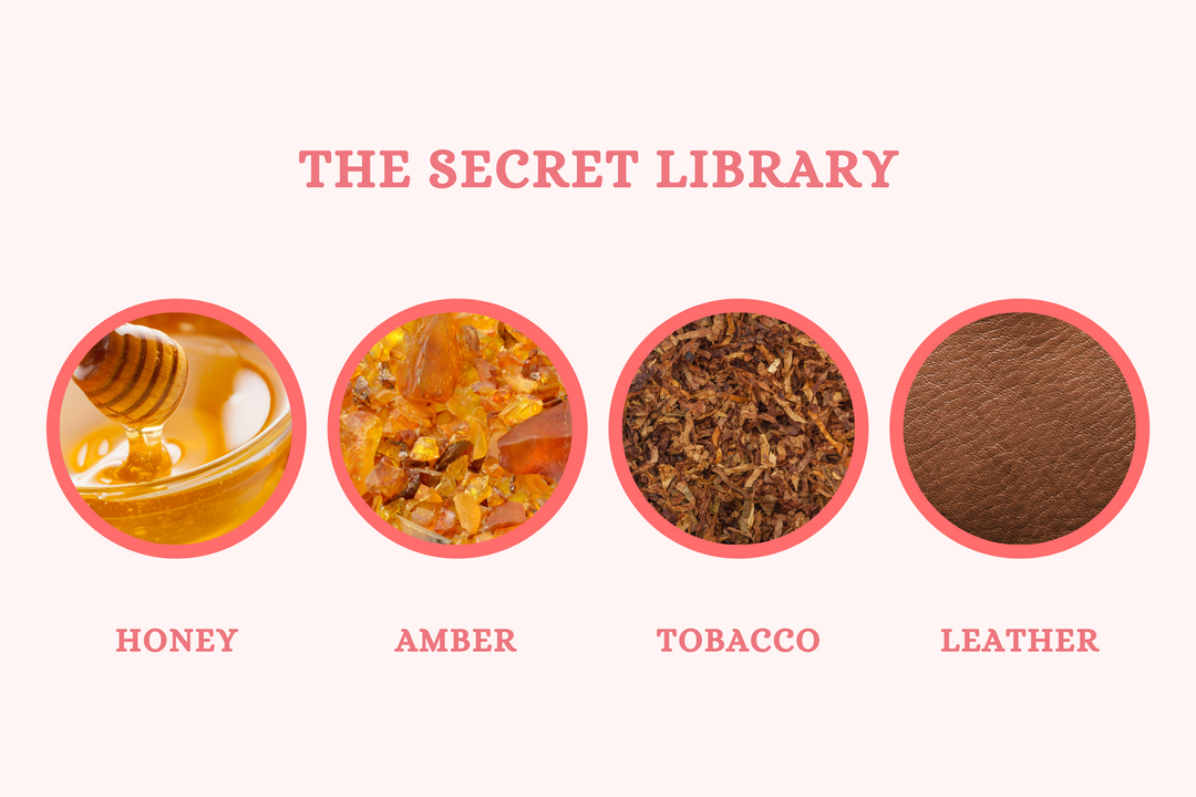 The Secret Library - Reed Diffuser - Olivia's Haven  - Reed Diffuser