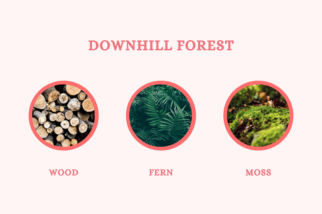 Downhill Forest - Reed Diffuser - Olivia's Haven  - Reed Diffuser