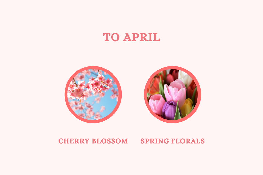 To April - Soy Candle - Olivia's Haven  - Candle