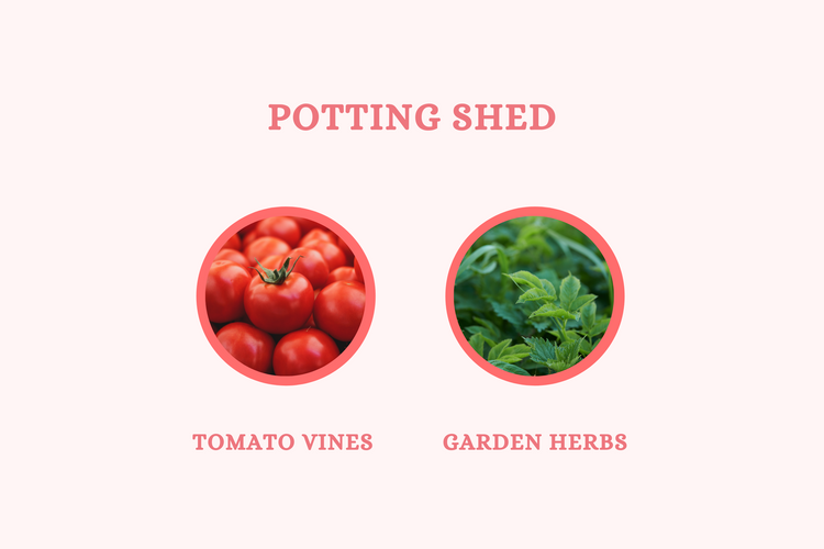 Potting Shed - Soy Candle - Olivia's Haven  - Candle