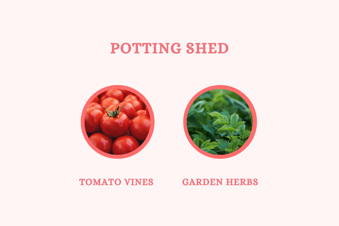 Potting Shed - Soy Candle - Olivia's Haven  - Candle