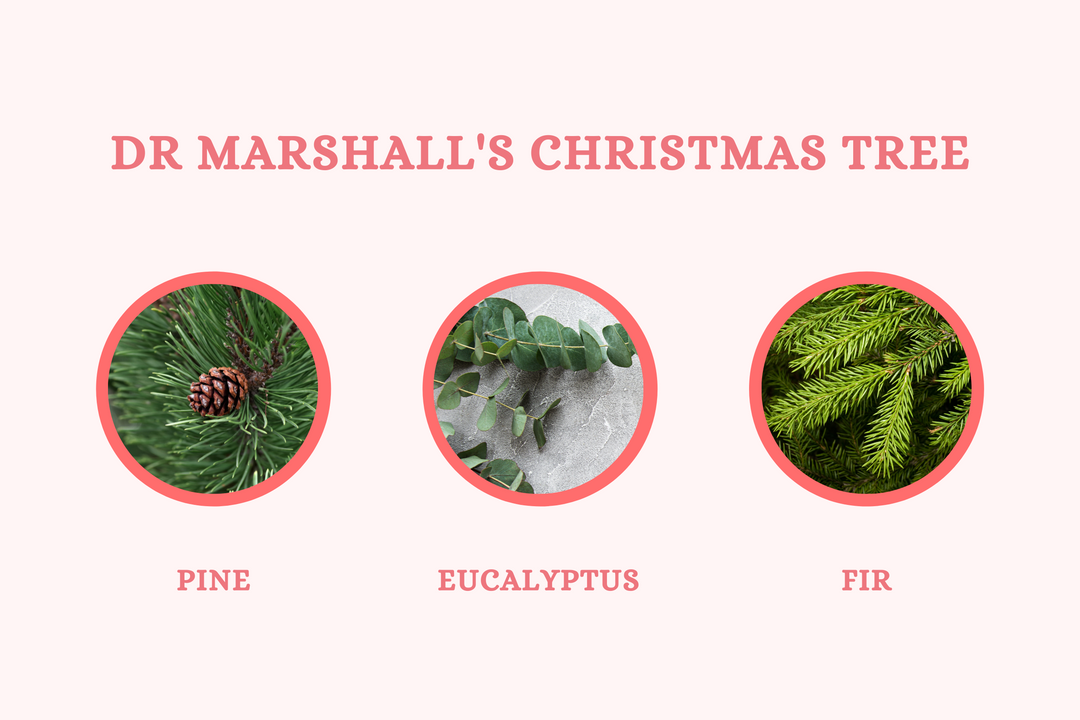 Dr Marshall's Christmas Tree - Diffuser Refill - Olivia's Haven  - Diffuser Refill