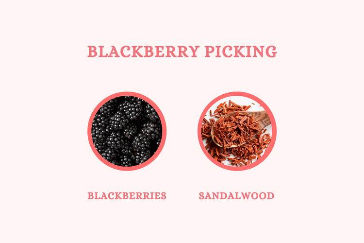 Blackberry Picking - Soy Candle - Olivia's Haven  - Candle