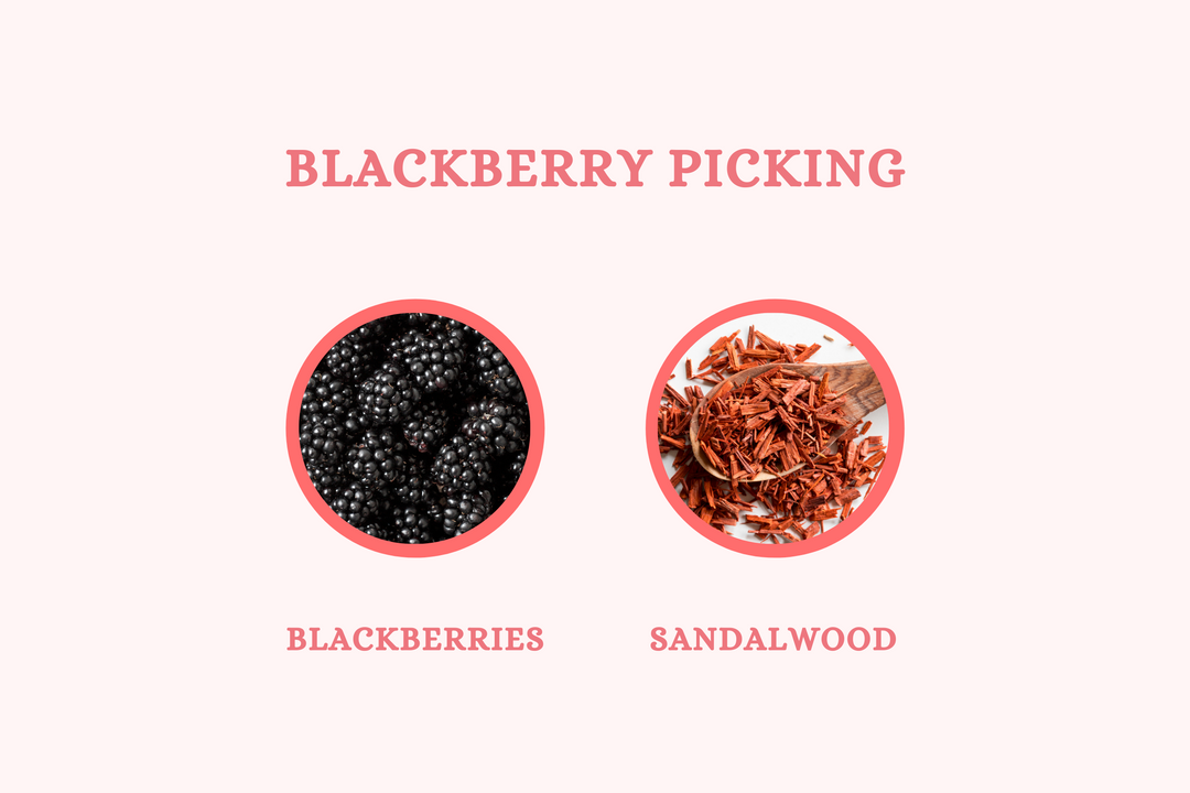 Blackberry Picking - Reed Diffuser - Olivia's Haven  - Reed Diffuser