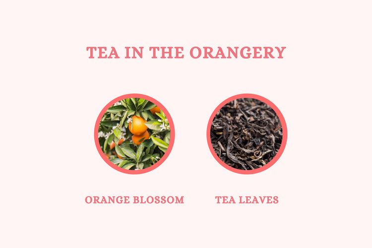 Tea in the Orangery - Soy Candle - Olivia's Haven  - Candle