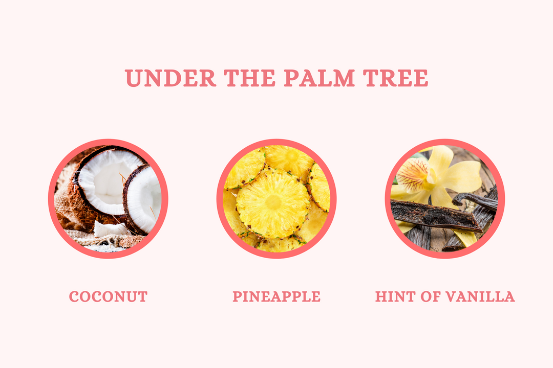 Under the Palm Tree - Soy Candle - Olivia's Haven  - Candle