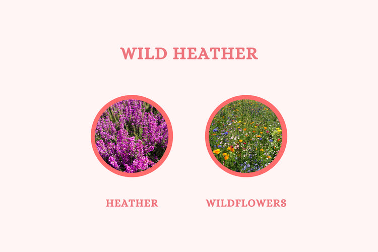 Wild Heather - Reed Diffuser - Olivia's Haven  - Reed Diffuser